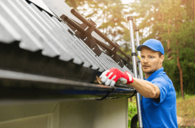 federal way gutter service